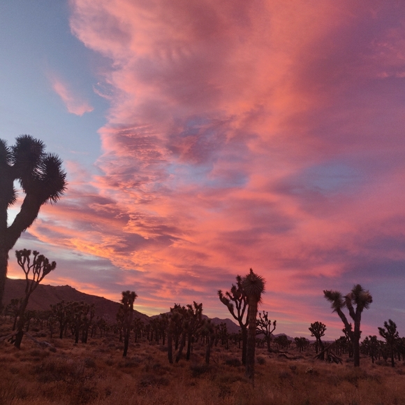 Meet your Posher, Lisa - Picture 1 of 1